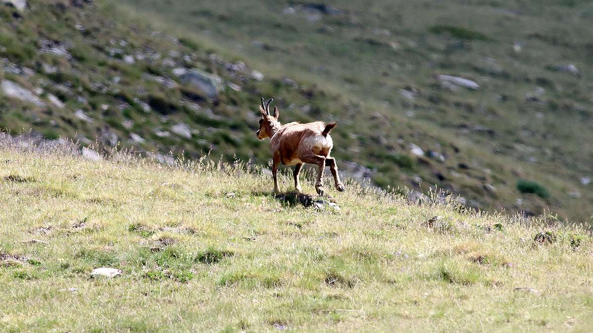 IMG_0714a