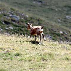 IMG_0714a