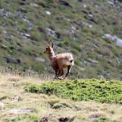 IMG_0717a