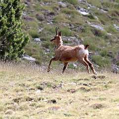 IMG_0718a