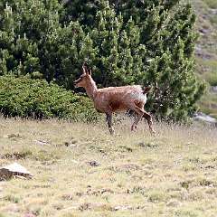 IMG_0719a