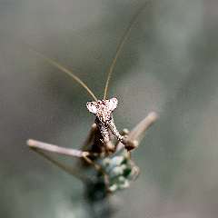 IMG_0313a