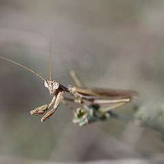 IMG_0310a