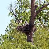 Image00015a