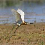 IMG_0714a