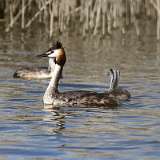 IMG_2040a