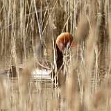 IMG_0057a