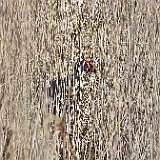 IMG_7706a