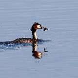 IMG_5080a
