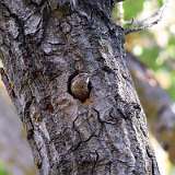 IMG_1983a