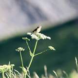 IMG_2188a