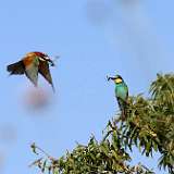 IMG_0644a