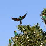 IMG_0667a (2)