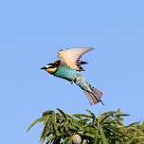IMG_0668a