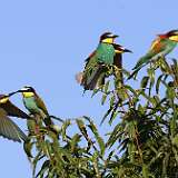 IMG_1906a