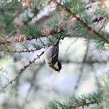 IMG_2351a