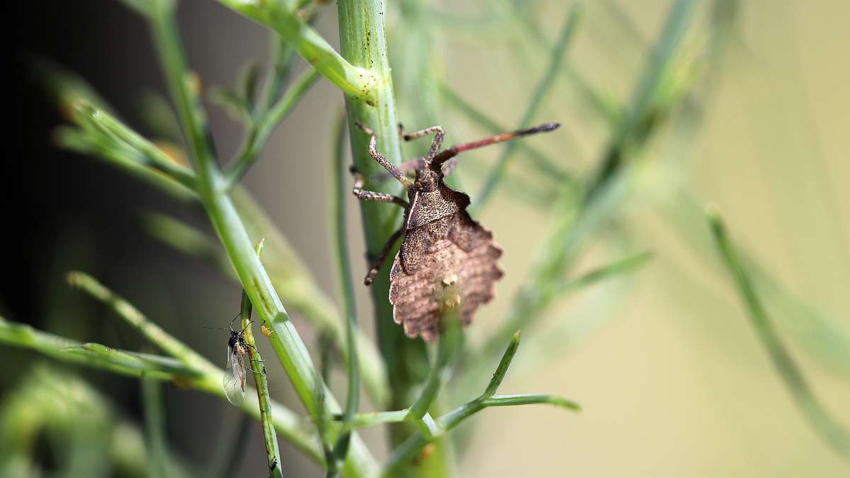 IMG_0742a